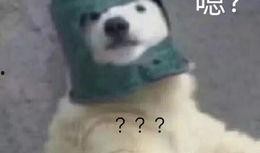 羊了个羊娱乐吃瓜,娱乐吃瓜，揭秘网络爆款游戏背后的故事